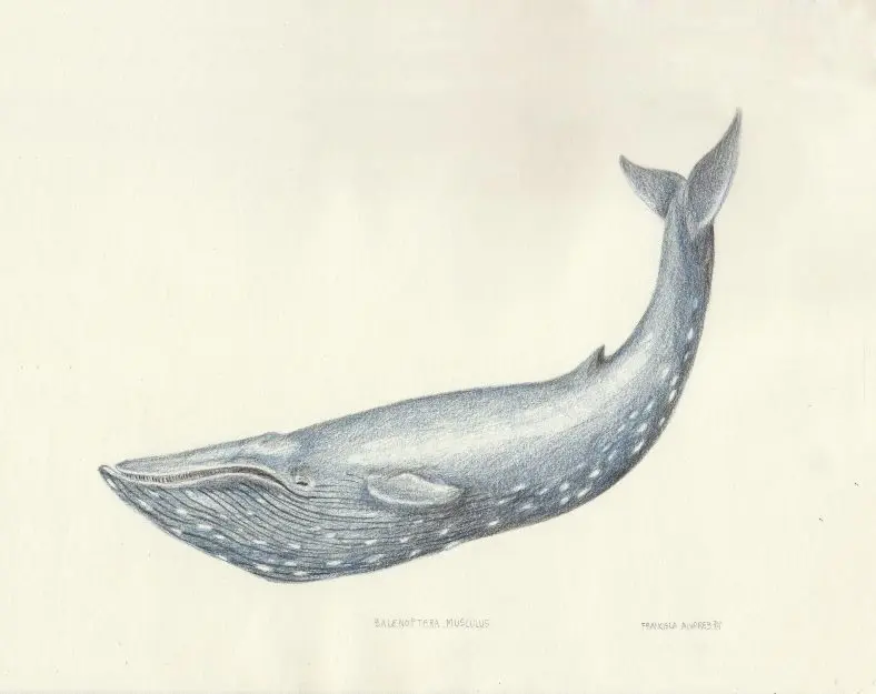 Minimizing Docker Images with Multistage